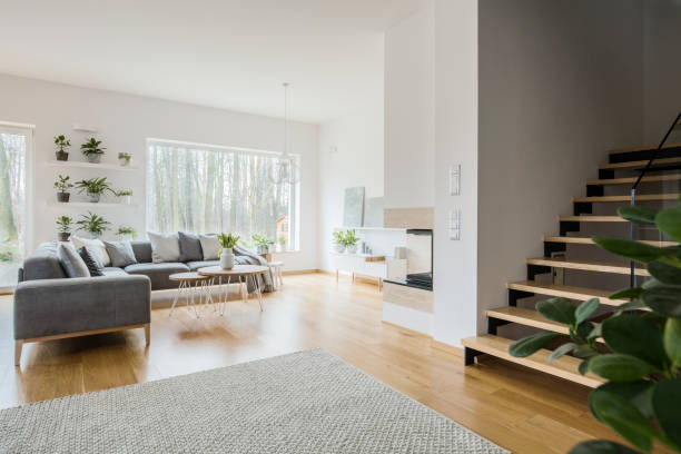 White living room interior with grey corner couch, green fresh plants, carpet on the floor and wooden stairs